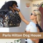 Paris Hilton Dog House