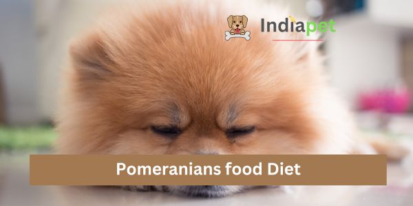 Pomeranians food Diet