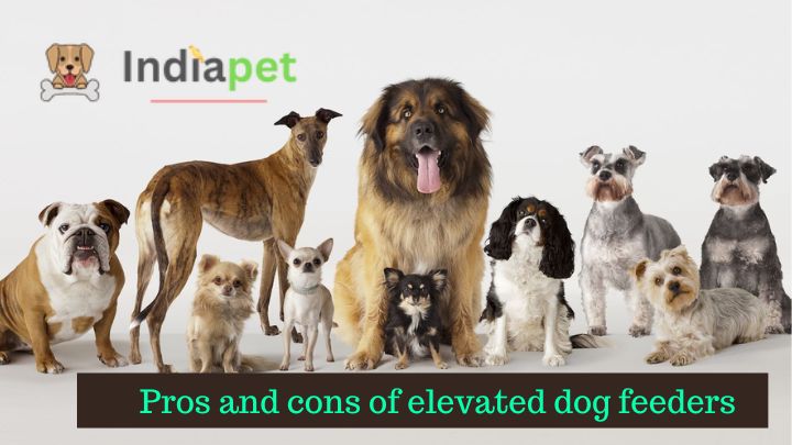 Pros and cons of elevated dog feeders