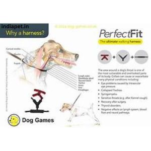 Benefits Of a Dog Harness 