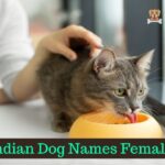 Indian Dog Names Female