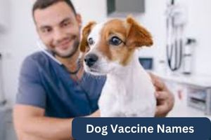 Dog Vaccine Names 