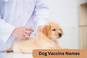 Dog Vaccine Names