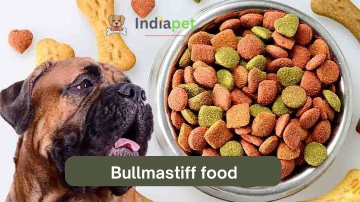 Bullmastiff food
