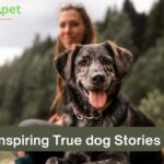 Inspiring True dog Stories