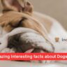 10 Amazing Interesting facts about Dogs Video