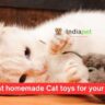 10 Best homemade Cat toys for your Feline