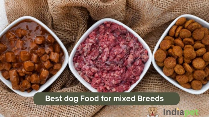 Best dog Food for mixed Breeds