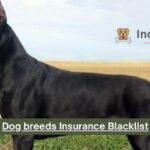 Dog breeds Insurance Blacklist