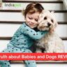 The Truth about Babies and Dogs REVEALED