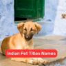 Indian Pet Titles Names