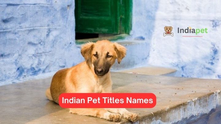 best friend pet names girl indian