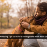 7 Amazing Tips to Build a Strong Bond With Your Dog