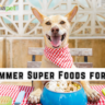 10 Summer Super Foods for Dogs