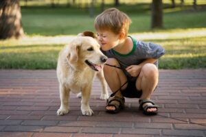 What is The Best Small Dog For Kids?