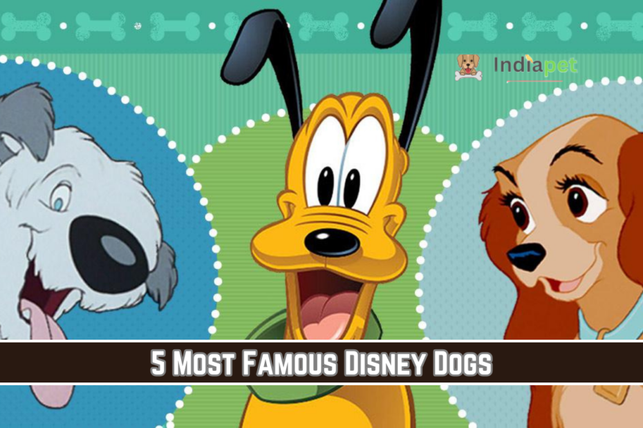 5 Most Famous Disney Dogs