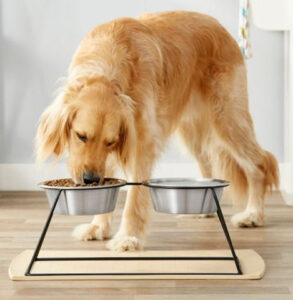 The Pros and Cons of Elevated Dog Food Bowls: A Quick Guide