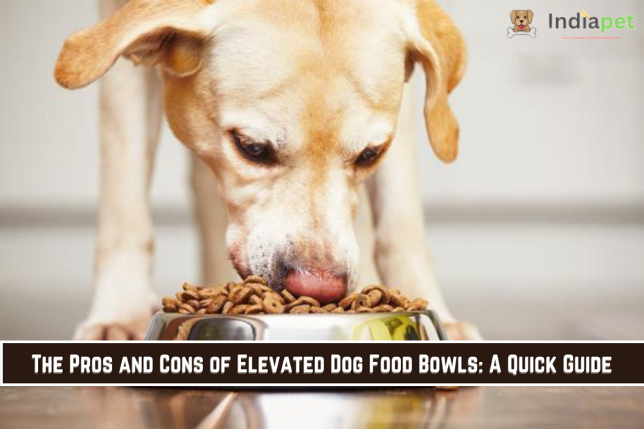 The Pros and Cons of Elevated Dog Food Bowls: A Quick Guide