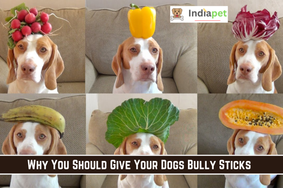 5 FRUITS that are Bad for DOGS