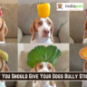 5 FRUITS that are Bad for DOGS