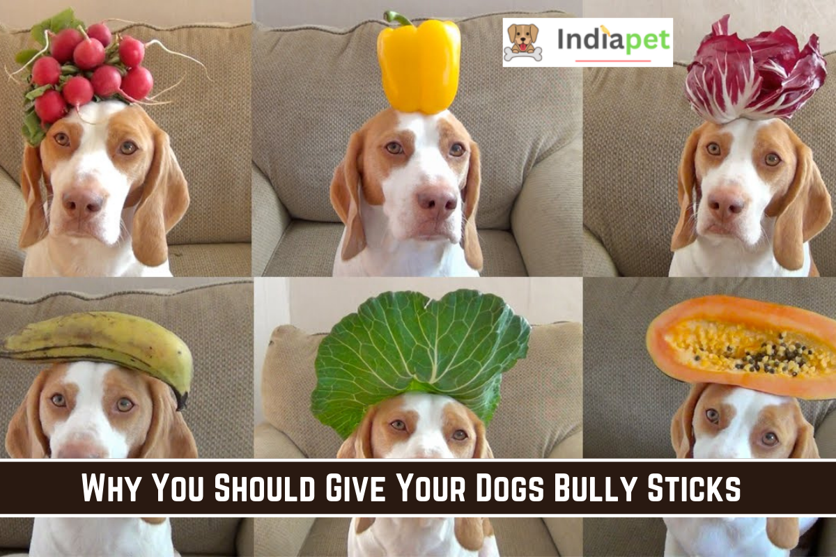 5 FRUITS that are Bad for DOGS