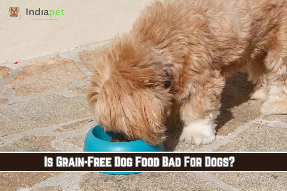 Is Grain-Free Dog Food Bad For Dogs
