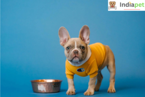 Why is Breed-Specific Dog Food a Better Option than Standard Dog Food?