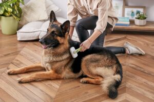10 Ways to Reduce Shedding in Dogs