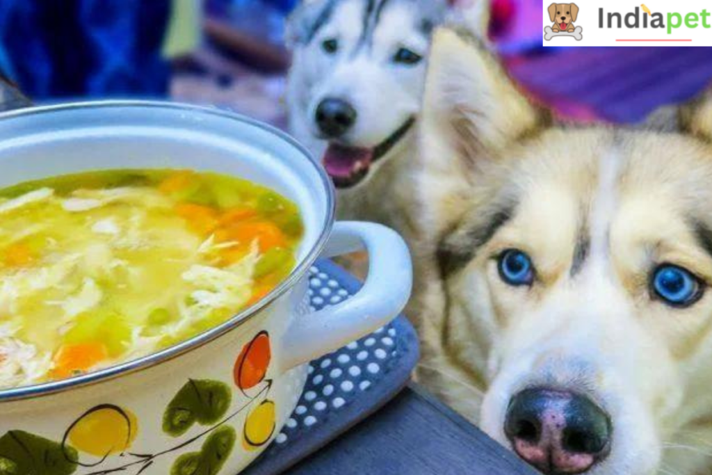 What to Feed your Dog in Winters