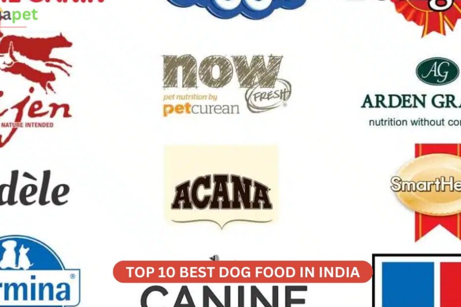 Best Dog food in India