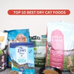 Top 10 Best Dry Cat Foods