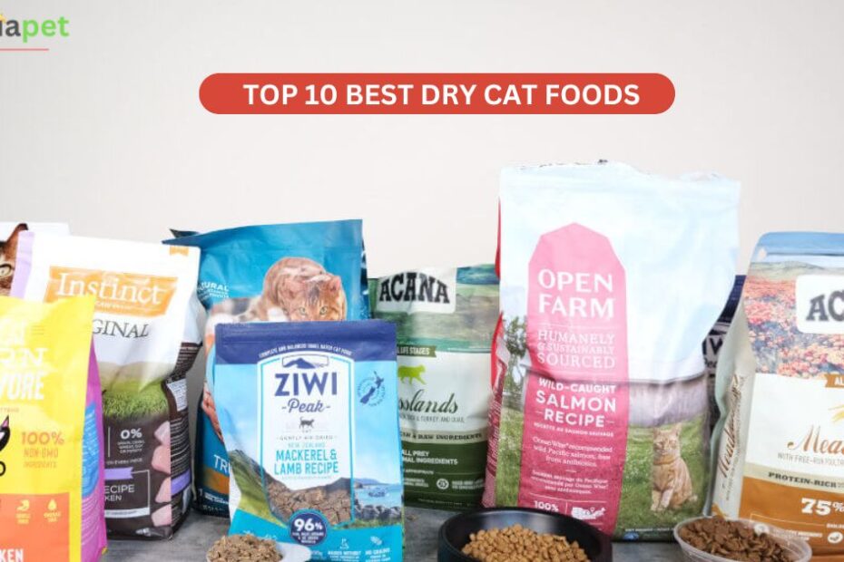 Top 10 Best Dry Cat Foods