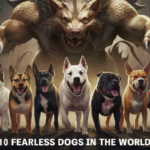 10 Fearless Dogs in the World