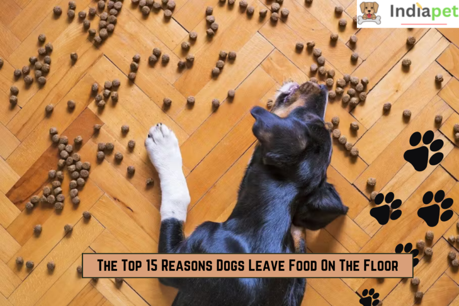 The Top 15 Reasons Dogs Leave Food On The Floor