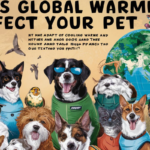 Does Global Warming Affect Your Pet?