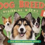 top Dog Breeds beginning with E