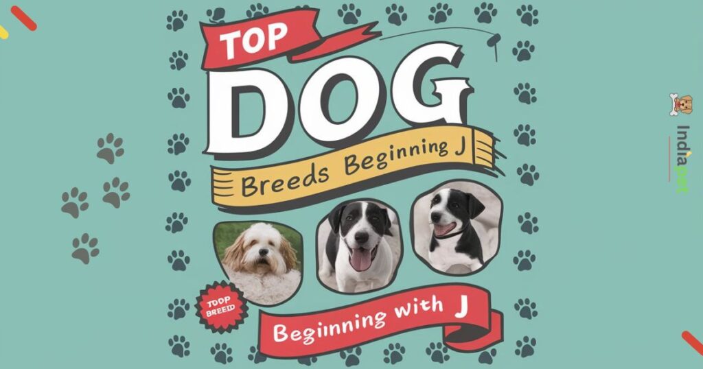 Dog Breeds beginning with J