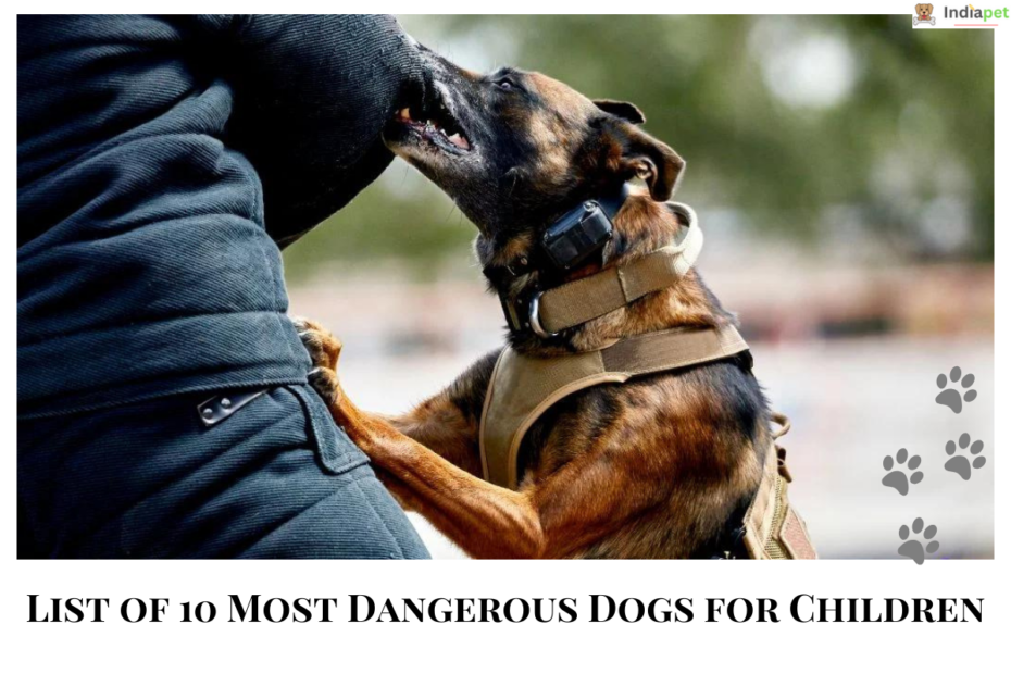 List of 10 Most Dangerous Dogs for Children