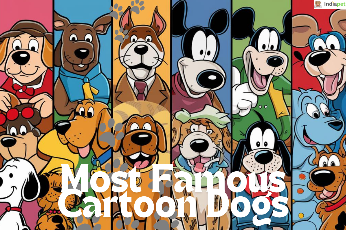 15 Most Famous Cartoon Dogs