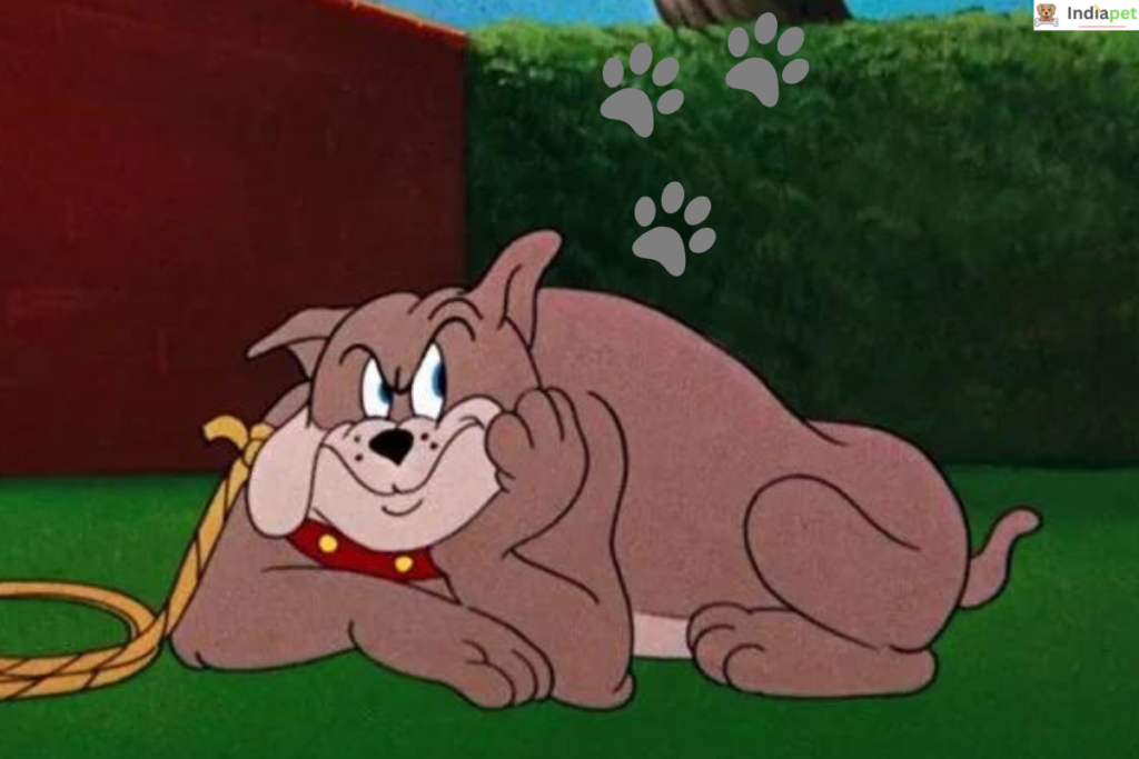 15 Most Famous Cartoon Dogs