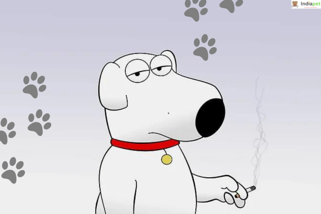 15 Most Famous Cartoon Dogs