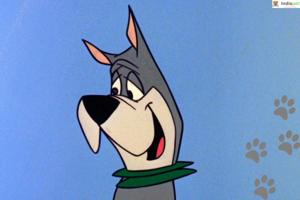 15 Most Famous Cartoon Dogs