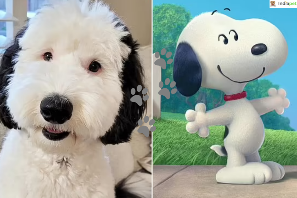 15 Most Famous Cartoon Dogs