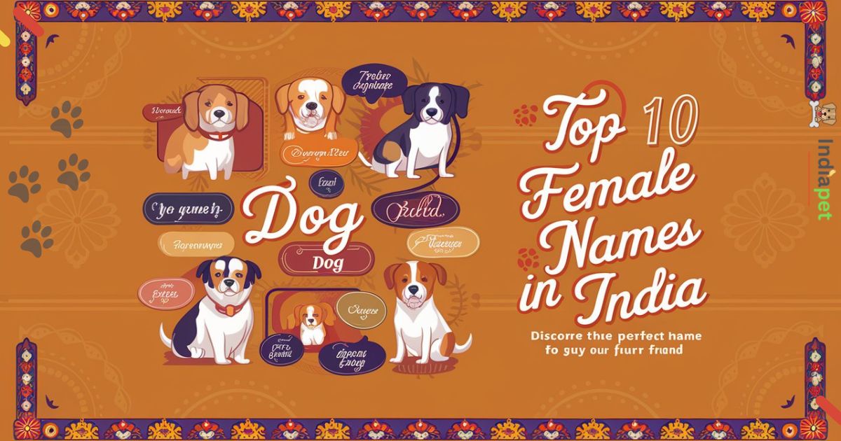 Top 10 Female Dog names in India