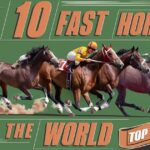 top 10 fastest horse in the world