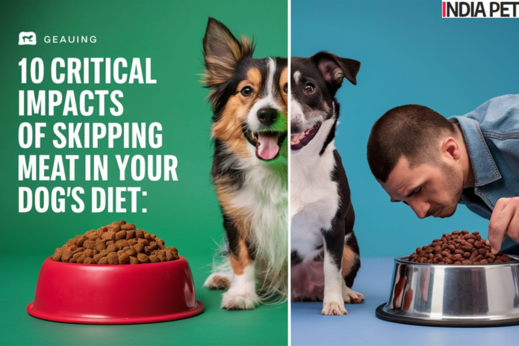 10 Critical Impacts of Skipping Meat in Your Dog’s Diet