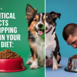 10 Critical Impacts of Skipping Meat in Your Dog’s Diet