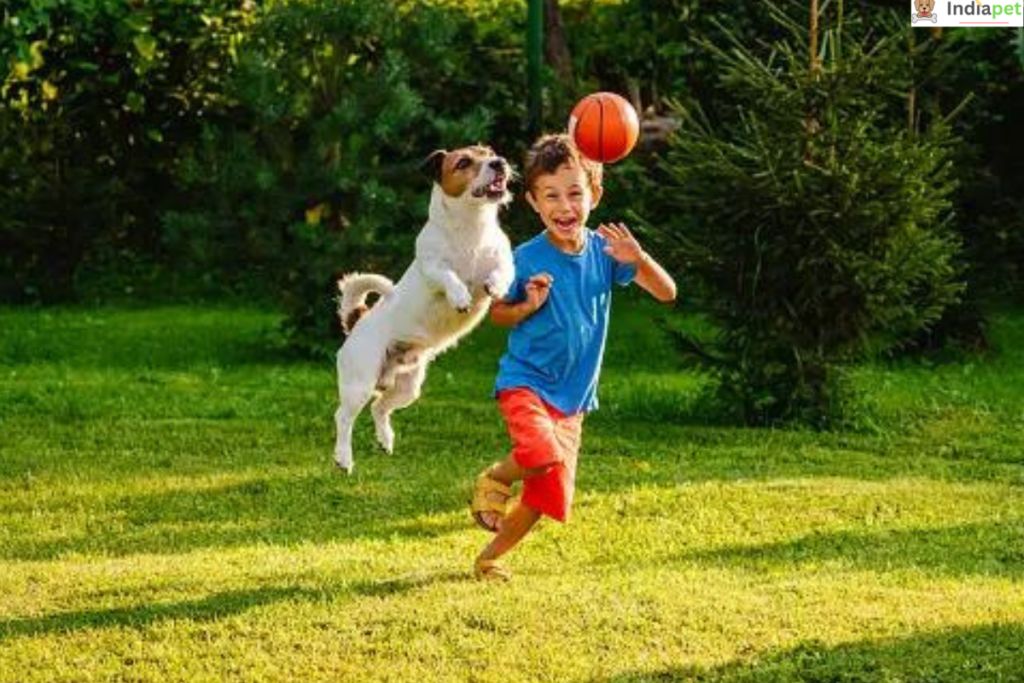 10 Dog Friendly Activities To Enjoy With Your Furry Friend