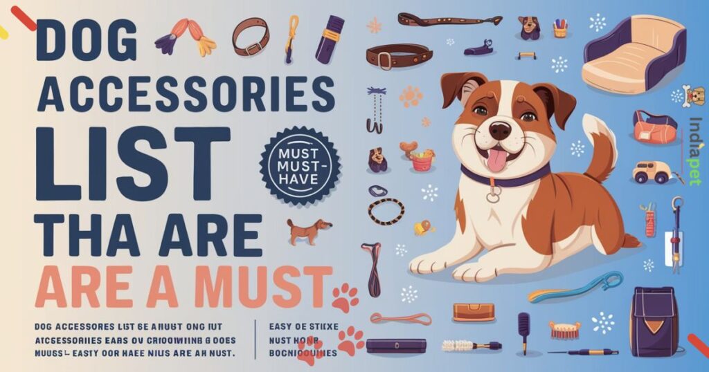 10 Dog accessories list that are a Must