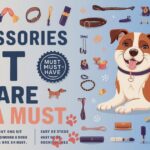 10 Dog accessories list that are a Must